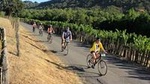 Half-Day Napa Valley Bike + Wine Tour