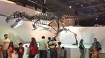 Houston Museum of Natural Science General Admission