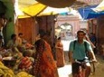 Jaipur Half-Day Cultural Cycling Tour
