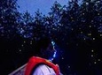 Kuala Selangor Firefly Boat Tour with Dinner and Transfer from Kuala Lumpur