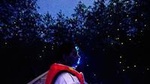Kuala Selangor Firefly Boat Tour with Dinner and Transfer from Kuala Lumpur