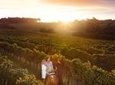 Leeuwin Estate: Food and Wine Experience