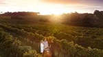 Leeuwin Estate: Food and Wine Experience
