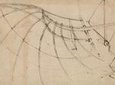 Pinacoteca Ambrosiana and da Vinci's Codex Atlanticus admission in Milan