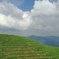 Private Day Tour: Longji Rice Terraces and Long Hair Village