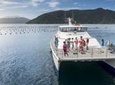 Marlborough Sounds Seafood Cruise from Picton
