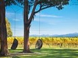 Marlborough Wine Tour and Cruise from Picton or Blenheim