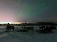 Northern Lights and Reindeer Sledding in Tromso