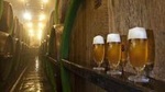 Pilsen Highlights Small-Group Tour and Pilsner Brewery Tour including Lunch and Beer Tasting