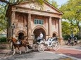 Private Carriage Tour of Historic Charleston