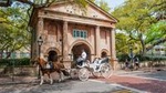Private Carriage Tour of Historic Charleston