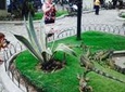 Half Day: Private Guayaquil City Tour & History Park