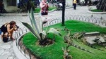 Half Day: Private Guayaquil City Tour & History Park