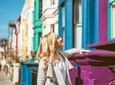 Private Tour: Personal Travel Photographer Tour in London