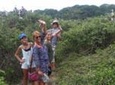 Day Trip: Mangrove, Dolphins & Birds. (Departure from Guayaquil)