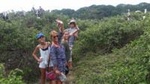 Day Trip: Mangrove, Dolphins & Birds. (Departure from Guayaquil)