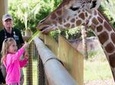 San Antonio Zoo General Admission