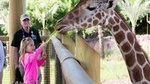 San Antonio Zoo General Admission