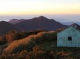 Scenic Blue Mountain Hike from Kingston