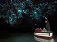 Waitomo Glowworm Caves Guided Tour
