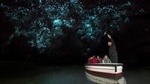 Waitomo Glowworm Caves Guided Tour