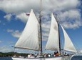 Windjammer Classic Day Sail