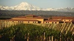 Wine Tour with Lunch from Mendoza