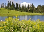 Explore Tipsoo Lake, Washington