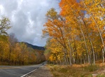 Drive through Grafton Notch, Maine
