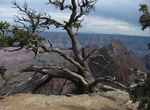 Visit Walhalla Overlook, Grand Canyon National Park, Arizona