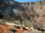 Hike Boucher Trail, Grand Canyon National Park, Arizona