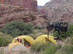 Camp at Cottonwood Campground (Grand Canyon), Arizona