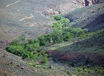 Camp at Havasupai Gardens Campground, Grand Canyon National Park, Arizona
