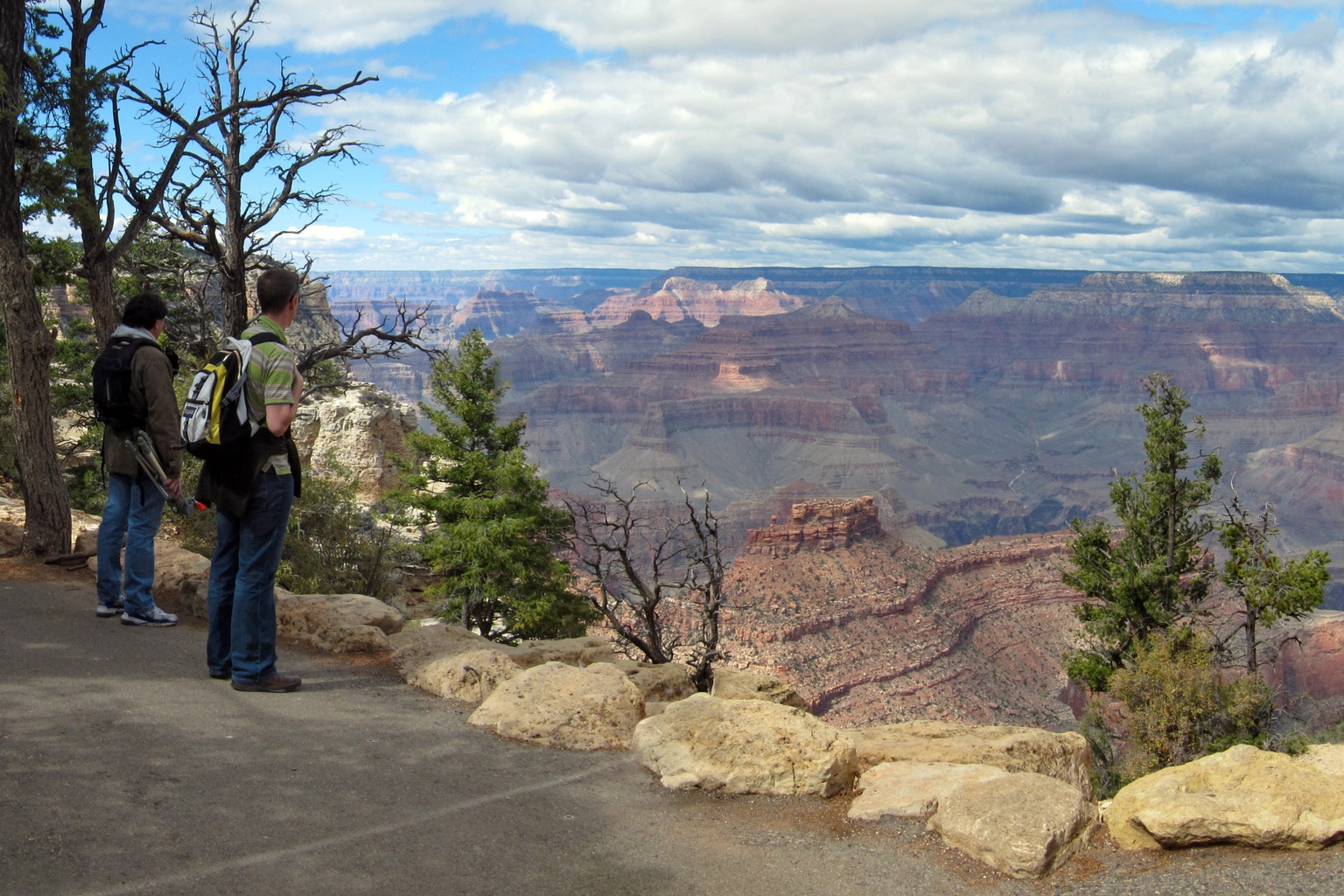 Rim Trail