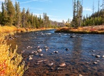 Explore Gardner River, Yellowstone National Park