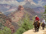 Go on Grand Canyon Mule Ride, Arizona