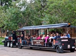 Dine at Grand Cookout Experience, North Rim, Grand Canyon National Park