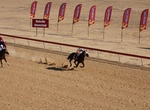 Attend The Birdsville Races, Queensland