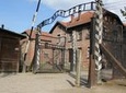 Auschwitz and Birkenau Memorial and Museum Guided Tour from Krakow