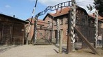 Auschwitz and Birkenau Memorial and Museum Guided Tour from Krakow