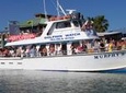 Eco and Dolphin Watch Tours of South Padre Island