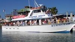 Eco and Dolphin Watch Tours of South Padre Island
