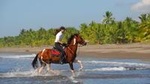 Beach Riding Adventure Manuel Antonio 