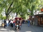 Private Cultural Day Tour: Hutong Rickshaw Ride, Tian'anmen Square, Forbidden City and Temple of Heaven