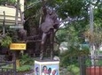Private Bob Marley Nine Mile & Kingston Tour Combo from Negril