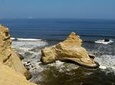 Half-Day Tour of Paracas National Reserve from San Martin Port