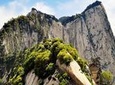 Xi'an Terracotta Army and Mt Huangshan Private 2-Day Package