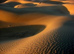 Explore Thar Desert (Great Indian Desert), India