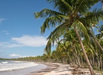Visit Boipeba Island, Bahia, Brazil