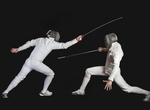 Try Fencing